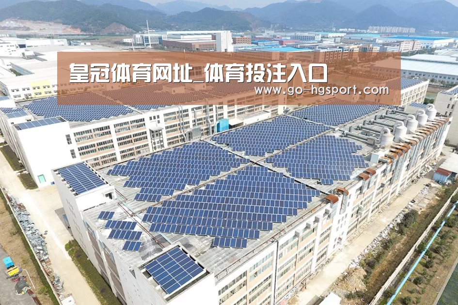 案例展示一