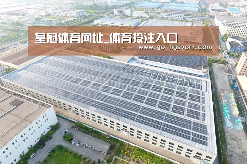 案例展示四