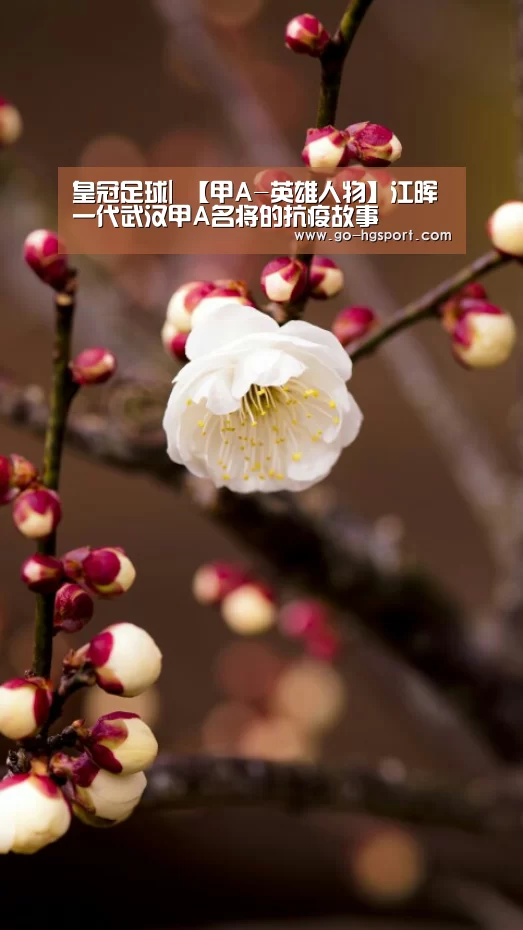皇冠足球|
【甲A-英雄人物】江晖 一代武汉甲A名将的抗疫故事(图1) 皇冠足球