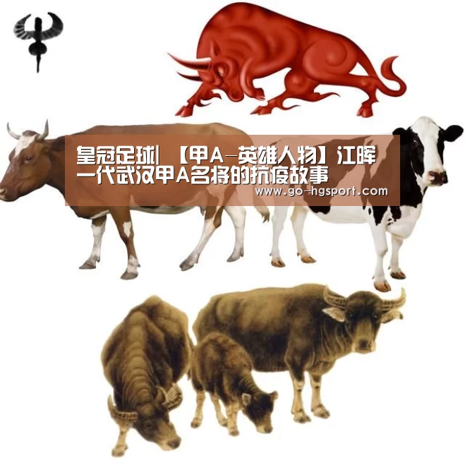 皇冠足球|
【甲A-英雄人物】江晖 一代武汉甲A名将的抗疫故事(图3) 皇冠体育