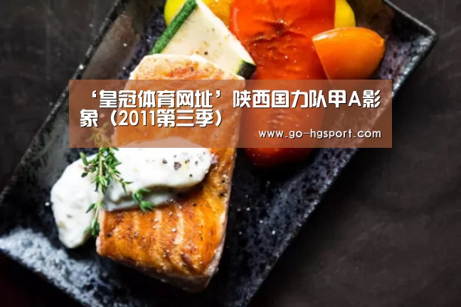 ‘皇冠体育网址’陕西国力队甲A影象(2011第三季)(图1) 皇冠足球