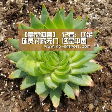 皇冠体育